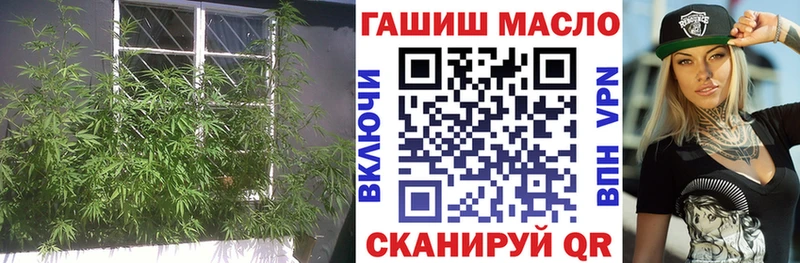 ТГК концентрат  mega ссылка  Суворов 