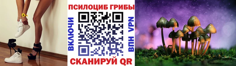 купить наркотик Суворов MEGA tor Псилоцибиновые грибы ЛСД
